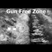 Gun Free Zone1